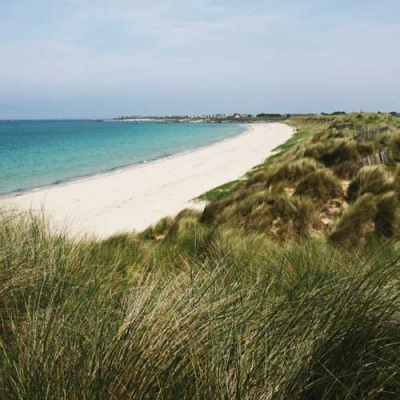 PLAN D’INTERPRÉTATION - NOUVELLE MISE EN DÉCOUVERTE DU SITE DES DUNES DE KEREMMA (29)